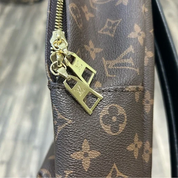LOUIS VUITTON - Monogram Palm Springs PM - Picture 5 of 14